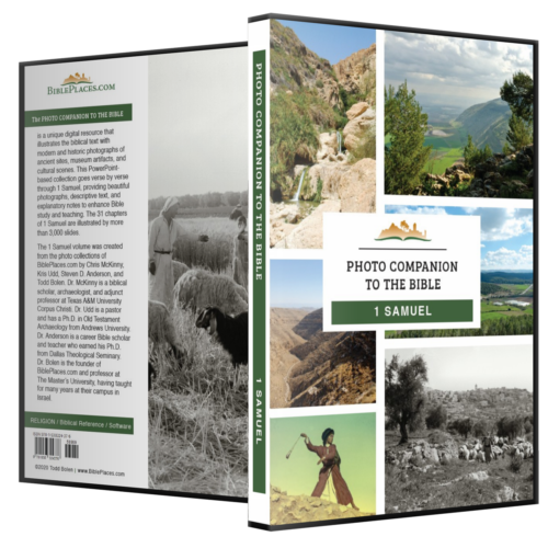 1 Samuel Photo Companion